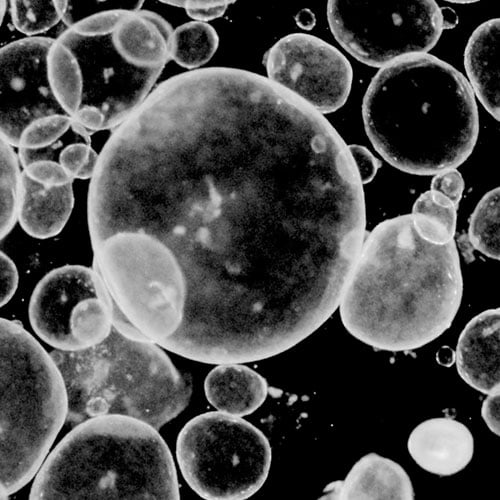 Single-cell biology represented by grayish bubbles of varying shapes on a black background.
