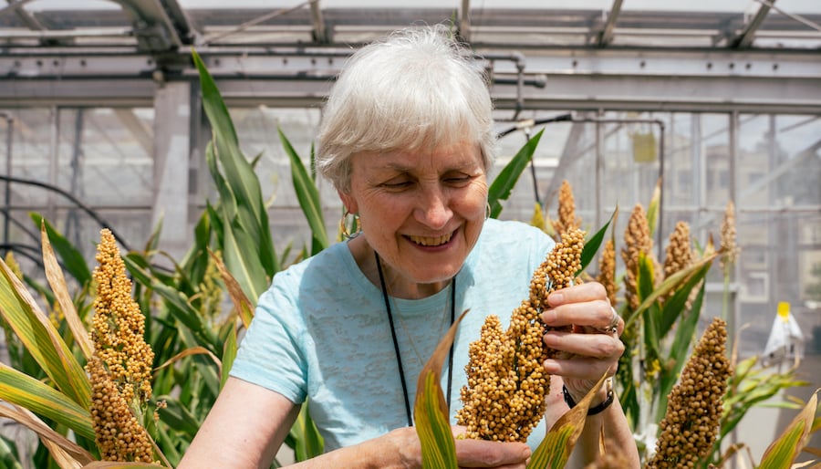 Image of woman holding grains