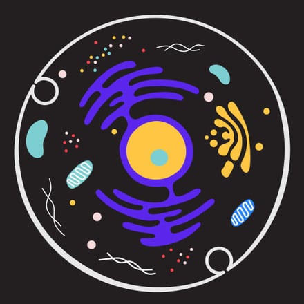 A circle filled with purple, yellow and blue shapes representing a cell. 
