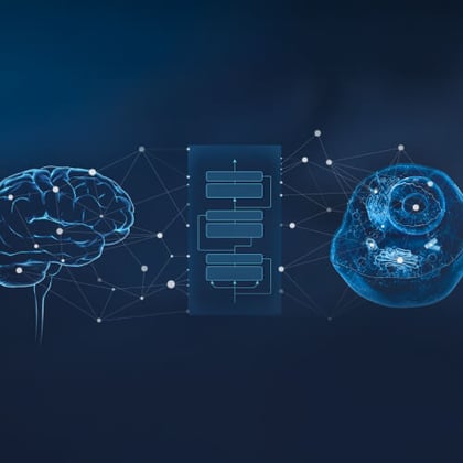 Glowing blue human brain connected through a neural network and flow chart to a biological cell with visible internal structures, on a dark background.