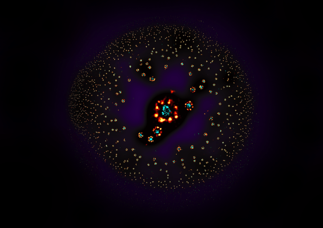 Ries Jonas - Fisheye view of the nuclear envelope in super resolution