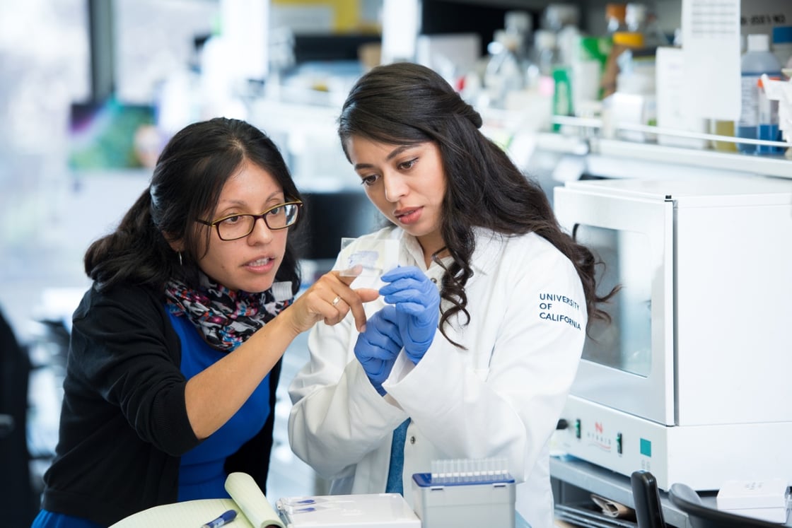 Image of scientists working together